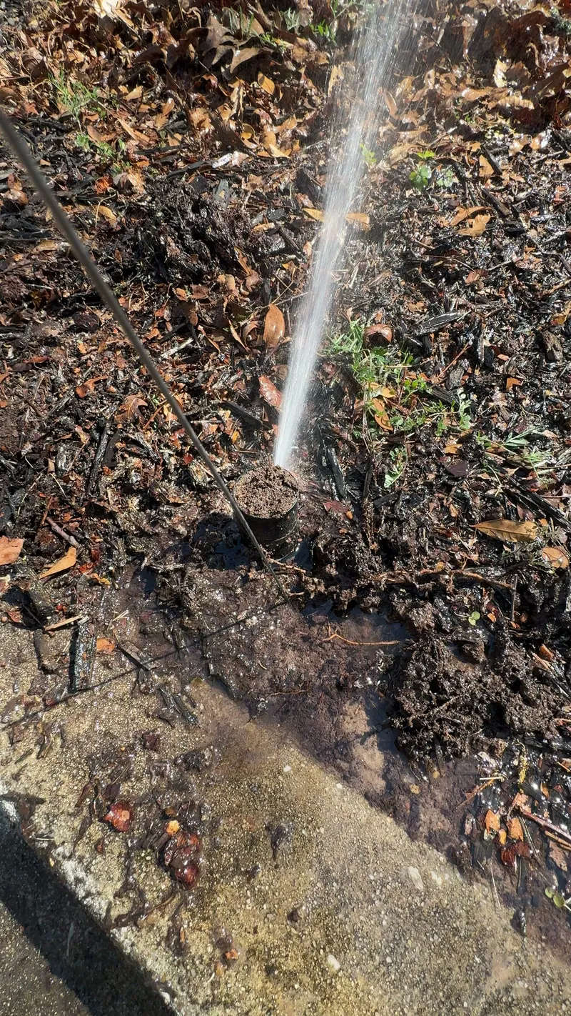 Broken sprinkler head shooting a column of water out of the ground