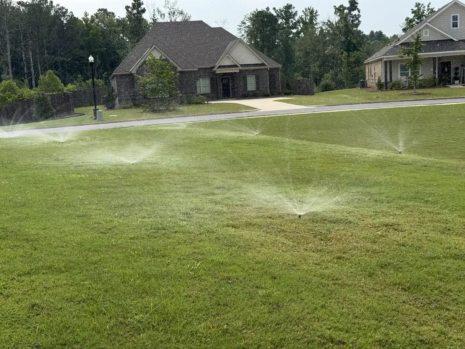 Pop-up spray sprinklers running across a green front lawn in a residential neighborhood