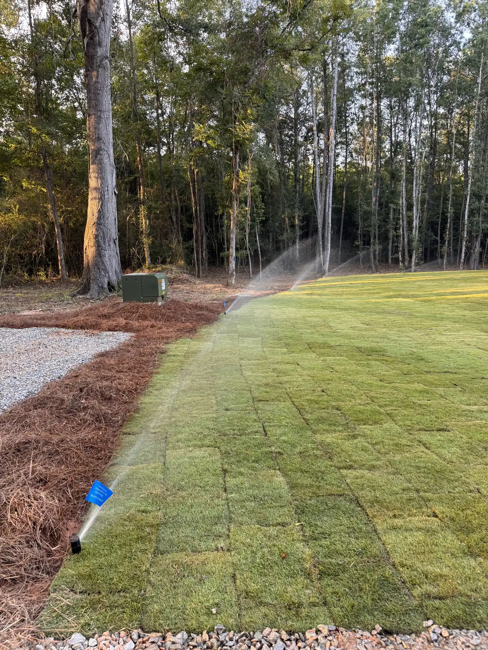 Rotor sprinkler watering a newly installed lawn at the edge of the woods